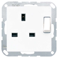 Steckdose 13A 250V 2-pol. A 3171 AL