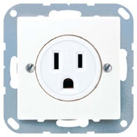 Socket outlet (receptacle) NEMA A 521-15 AL