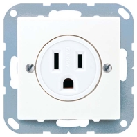 Socket outlet (receptacle) NEMA A 521-20
