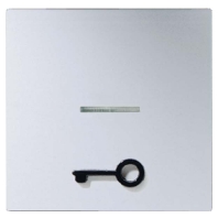 Cover plate for switch/push button A 590 T1KO AL