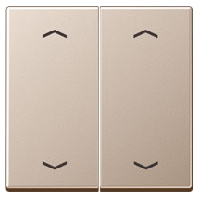 Wippe Symbole Pfeile 2-f champagner A 595 MP CH