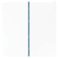 Tastensatz 1-fach ws komplett CD 401 TSA