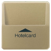Hotelcard-Schalter go brz ohne Taster-Einsatz CD 590 CARD GB-L