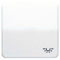 Cover plate for switch/push button grey CD 590 L LG