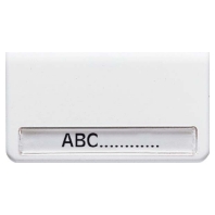 Cover plate for switch/push button grey CD 590 NA LG