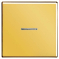 Wippe Lichtleiter go fr Schalter/Taster GO 2990 KO5