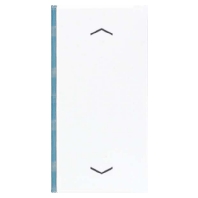 Taste 2-fach ws Symbol Auf/Ab LS 402 TSAP