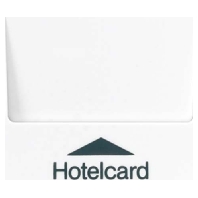 Hotelcard-Schalter aws ohne Taster-Einsatz LS 590 CARD WW