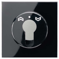 Cover plate for switch black LS 928 SW
