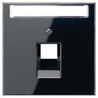 Plate UAE/IAE (ISDN) LS 969-1 NAUA SW