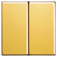 Wippe go24Karat fr Taster LS 995 GGO