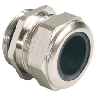 Cable gland NPT3/8 inch 1000.3/8NPT.060