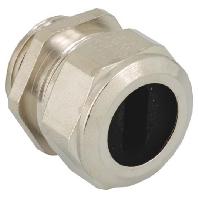 Flachkabelverschraubung MS M63 42.5x2-46.5x6 1300.63.465.060