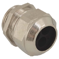 Cable gland PG13 1310.13.2.060