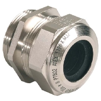 Ex-Kabelverschraubung MS Pg21 9.5-12.5 EX1000.21.125