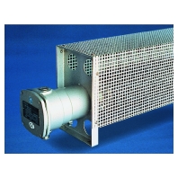 Ex-Heizkrper 2500W DHG57A0/R2-2,5-T2