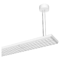 LED-Pendelleuchte 840, DALI, ws LUZD23105840BWDALIws