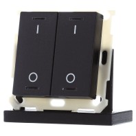 KNX Push Button Lite 55 2-fold, RGBW, switch, Black matt BE-TAL550206.B1