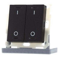 KNX Push Button Lite 55 2 gang, RGBW, switch, with temperature sensor, Black matt BE-TAL55T206.B1