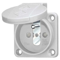 Panel mounted socket outlet with 11180