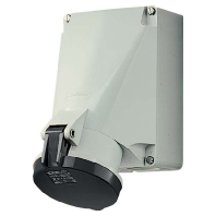 Wanddose 63A,4p,7h,500V,IP44 1142A