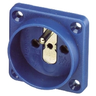 Panel mounted socket outlet with 11681