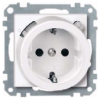 Socket outlet (receptacle) 233825