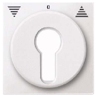 Cover plate for switch/push button white 319319