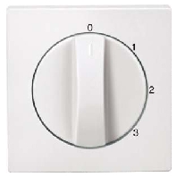 Zentralplatte pws fr Drehschalter 538819