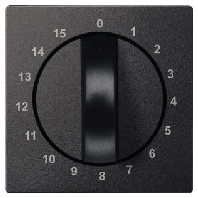 Cover plate for time switch anthracite 539014