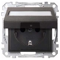 SCHUKO-Steckdose anth Klappd.Schriftfeld MEG2312-0414
