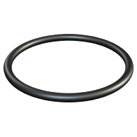 O-Dichtring f.Anschl.gew. 171 M25