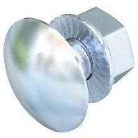 Carriage bolt M10x25mm FRS 10x25 G