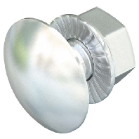 Carriage bolt M10x25mm FRSB M10x25 A2