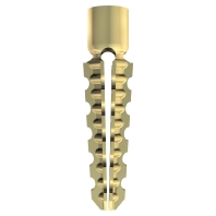 Expanding plug 5x30mm MD 5 GTP