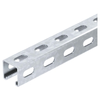 Profilschiene MS4141PP3000FS