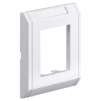 Frame 1-gang white S990-AR1 RW
