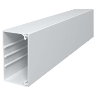 Wand-/Deckenkanal 60x110x2000mm lgr WDKH-60110LGR