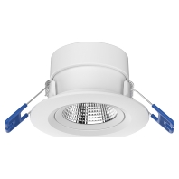 Downlight/spot/floodlight LEDSpot541003411100