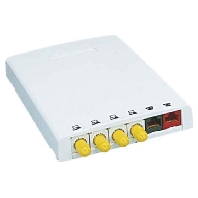 Twisted pair Data outlet white CBXF6AW-AY