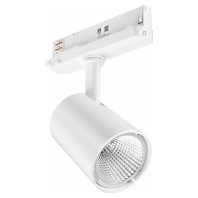 Downlight/spot/floodlight 1x34,5W ST210T 39S 98265200