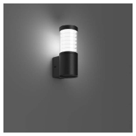 LED-Wandleuchte 830, anthrazit 621097.0031