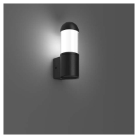 LED-Wandleuchte 830, anthrazit 621100.0031