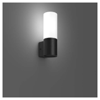 LED-Wandleuchte 830, anthrazit 621102.0031