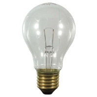 Standard lamp 15W 12V E27 clear 40501