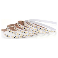 Light ribbon-/hose/-strip 24V white 31757