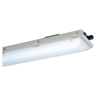 Explosion proof luminaire fixed mounting e865F 12L42
