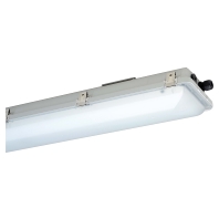 LED-Ex-Wannenleuchte IP66 e865F 12L42