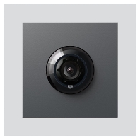 Video module for door station Grey BCM 653-03 DG
