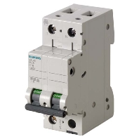 Miniature circuit breaker 2-p B8A 5SL4508-6